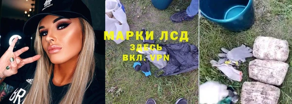 крисы Арсеньев